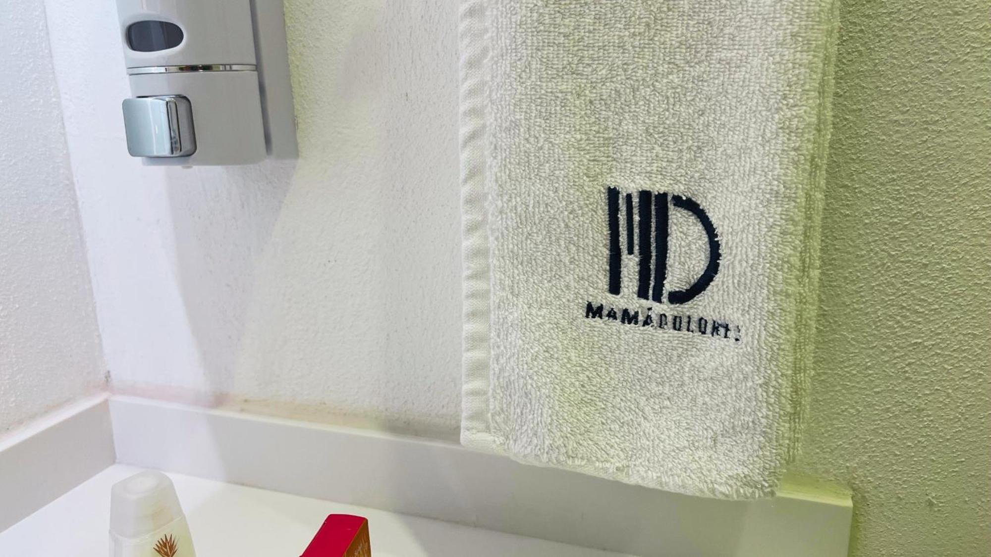 Hotel Mama Dolores Dolores Hidalgo Εξωτερικό φωτογραφία